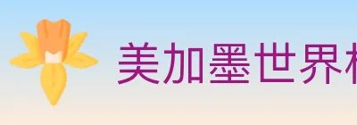美加墨世界杯买球官方网站 logo